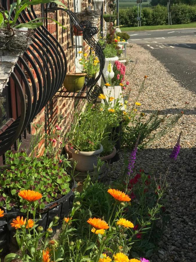 Yarm Cottages Sleeping 12 Kirklevington Экстерьер фото